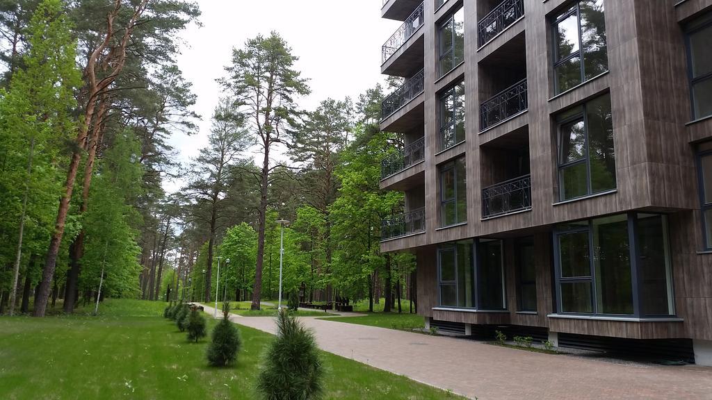 Soulhouse Apartments Druskininkai Kültér fotó